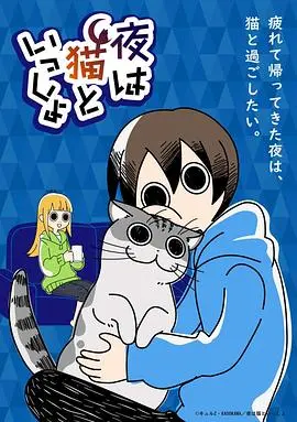 《关于养猫我一直是新手》：养猫小白必看！那些让人抓狂又心疼的瞬间，太真实了！
