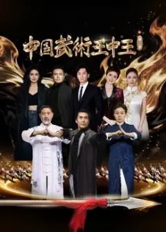 《中国武术王中王第二季》：功夫巨制，硬核对决！见证中华武术的巅峰时刻，热血沸腾！