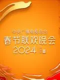 2024年央视春晚：科技与人文交织的视听盛宴，一场温暖人心的时代记忆。