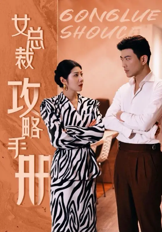 女总裁攻略手册 海报