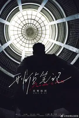 《刑侦笔记》：欢喜冤家也ampoo？这反转我给满分！